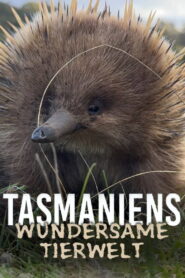 Tasmania’s Wild Treasures